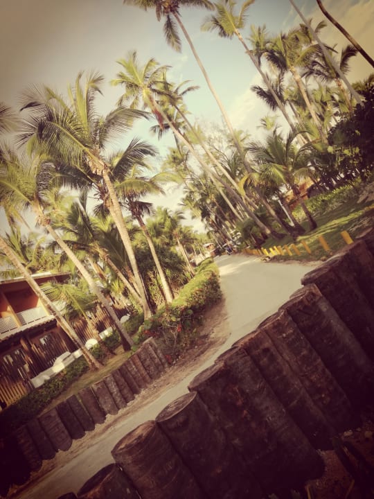 Strand Grand Palladium Punta Cana Resort & Spa