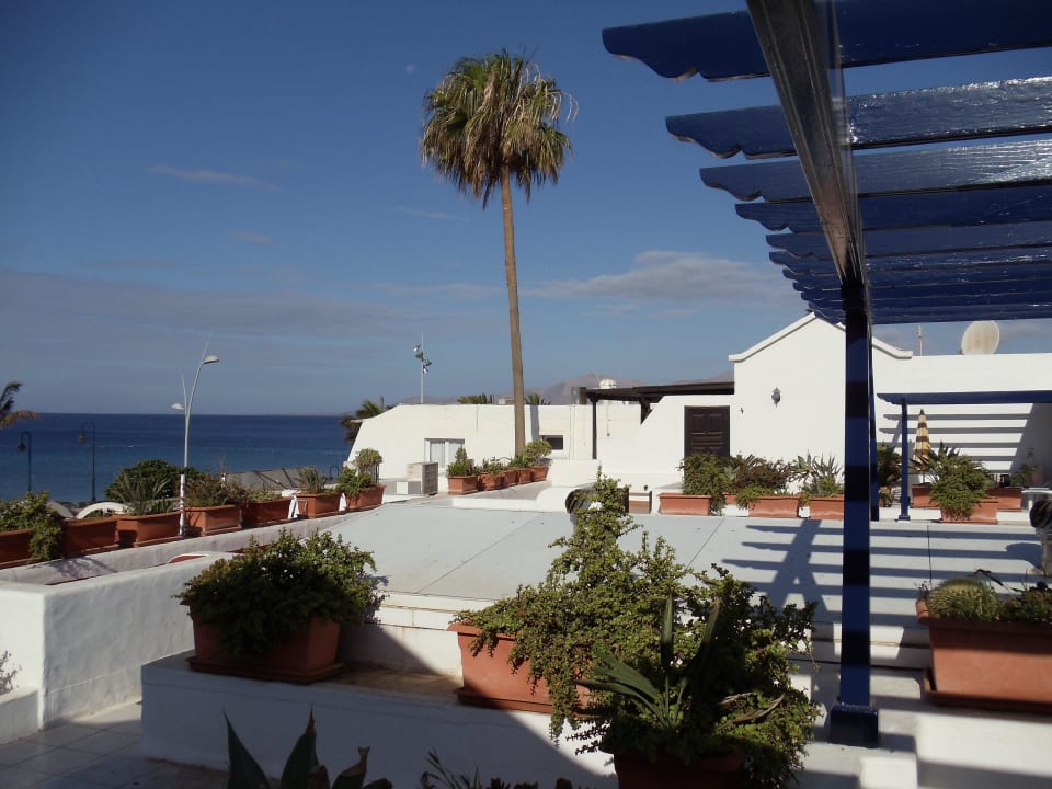 Aussicht Bungalows & Appartements Playamar