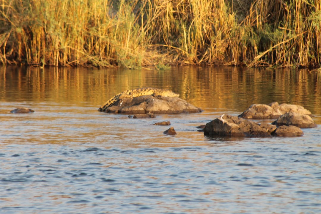 Ausblick Rainbow River Lodge