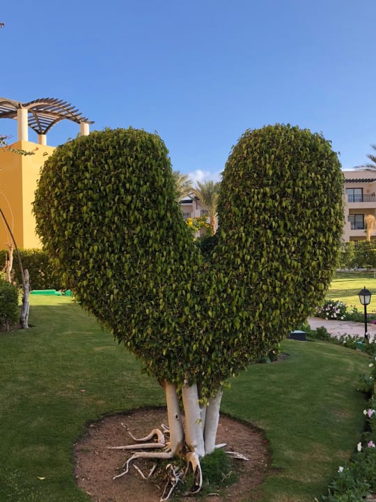 Gartenanlage Jaz Solaya