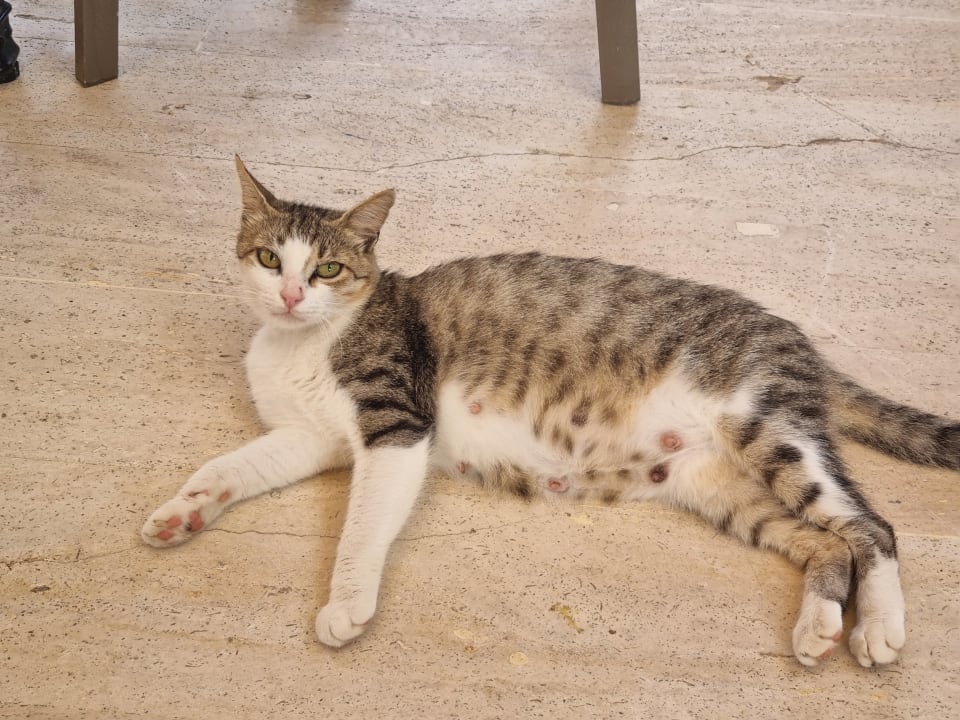 Sonstiges Labranda Alantur Resort