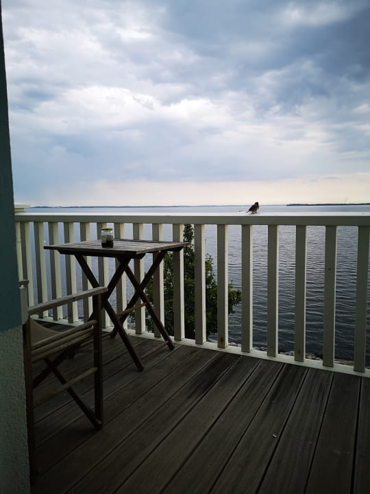 Ausblick BEECH Resort Boltenhagen