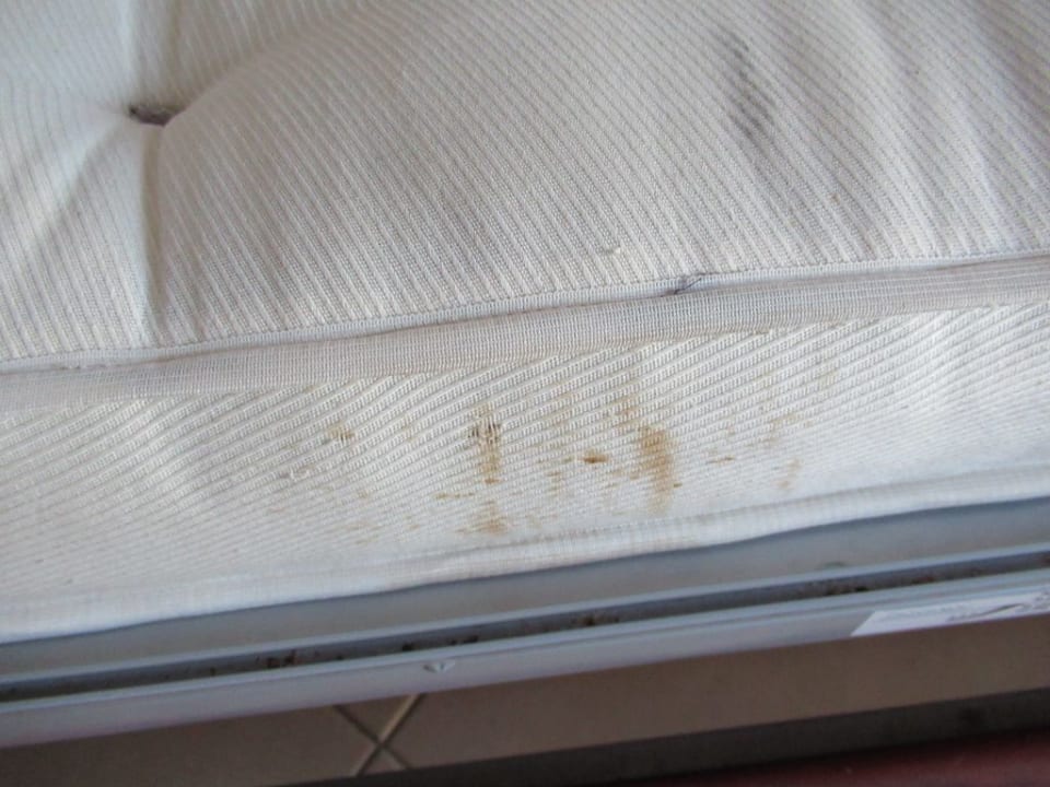 Zimmer allsun App.-Hotel Albatros