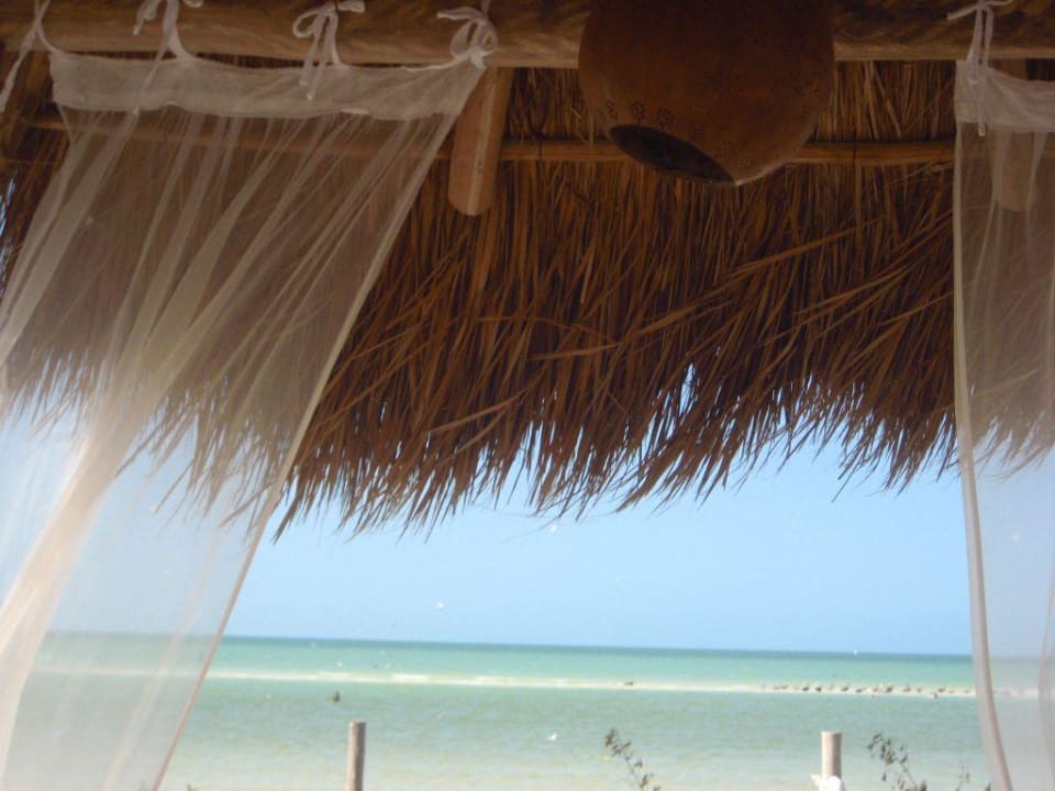 von der Terrasse Hotel Villas Flamingos