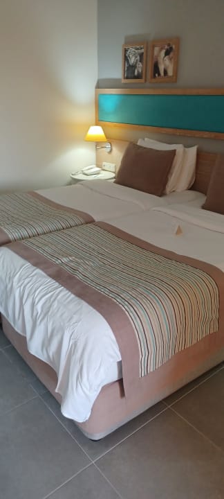 Zimmer Asteria Collection Side