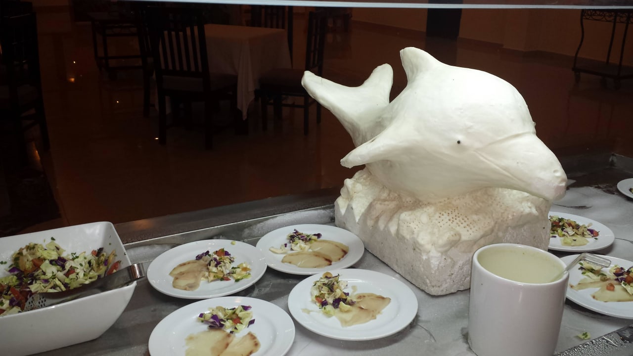 Butterskulptur Hotel Gorgonia Beach Resort