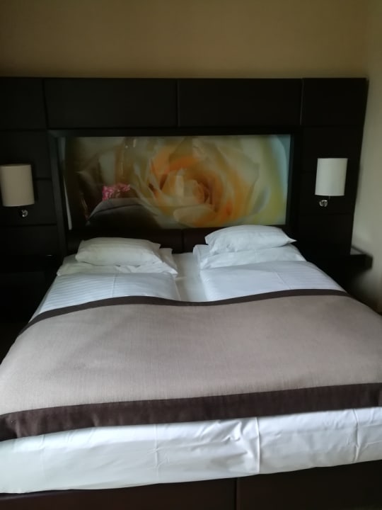 Zimmer Lindner Hotel Vienna Am Belvedere, part of JdV by Hyatt