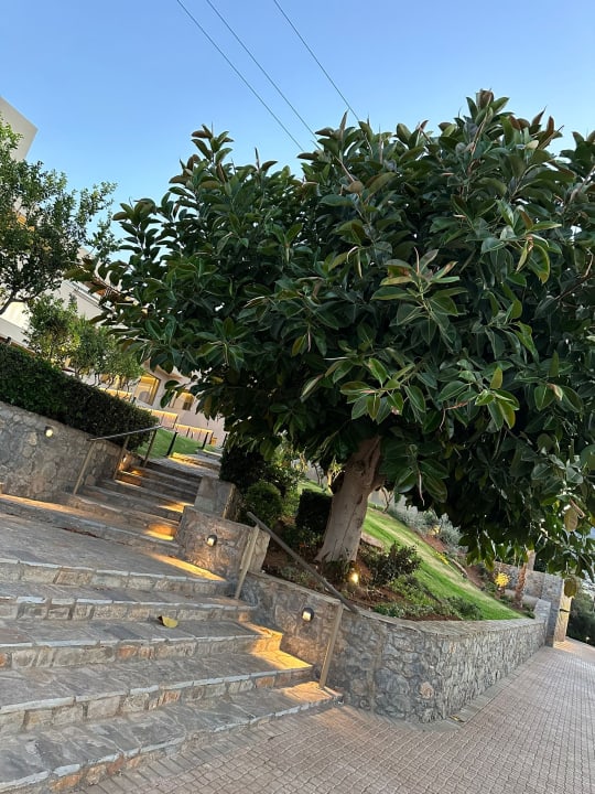 Gartenanlage KING MINOS RETREAT Resort & Spa