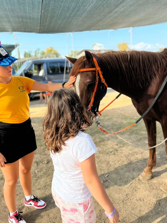 Sport & Freizeit Hotel Botanik Platinum