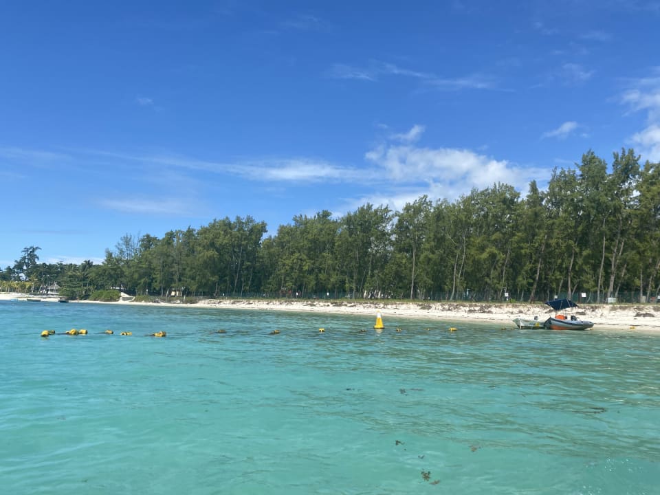 Pool Friday Attitude