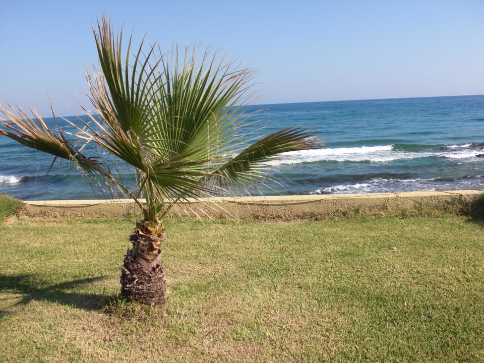 Direkt vor unserer Suite Alexander Beach Hotel & Village Resort