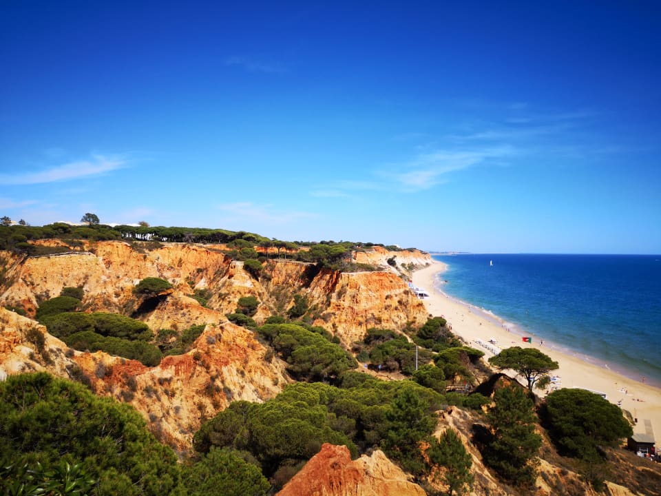 Gartenanlage PortoBay Falésia