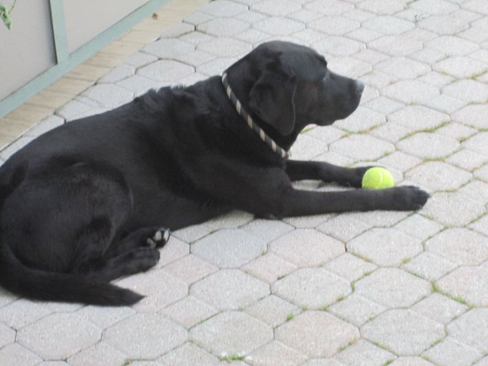 Der Freund aller Gäste  Hotel Al Molino