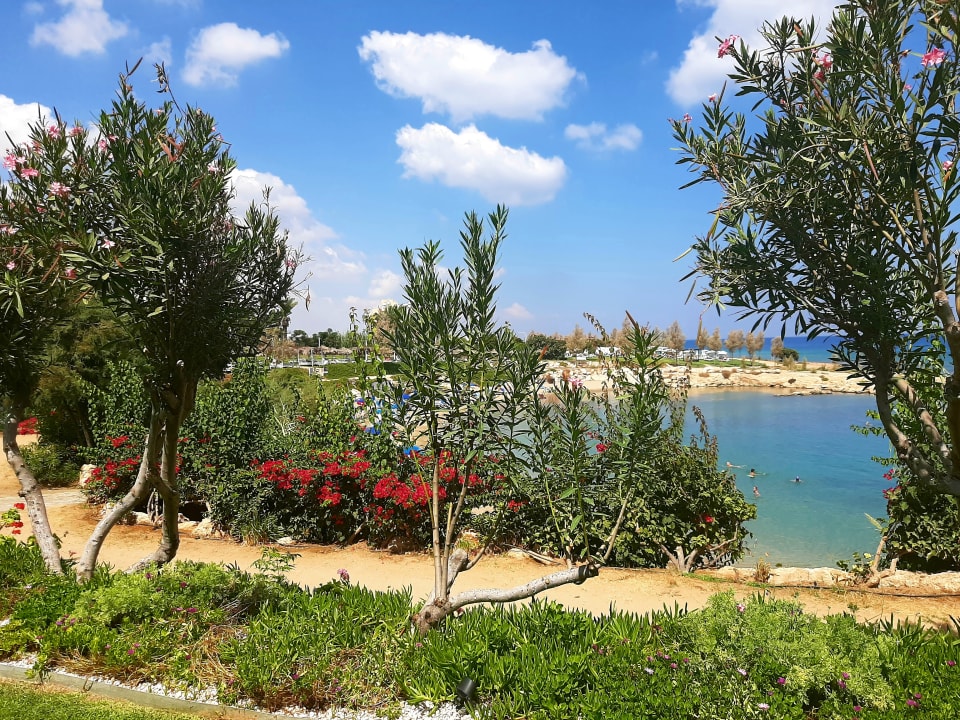 Gartenanlage Crystal Springs Beach Hotel