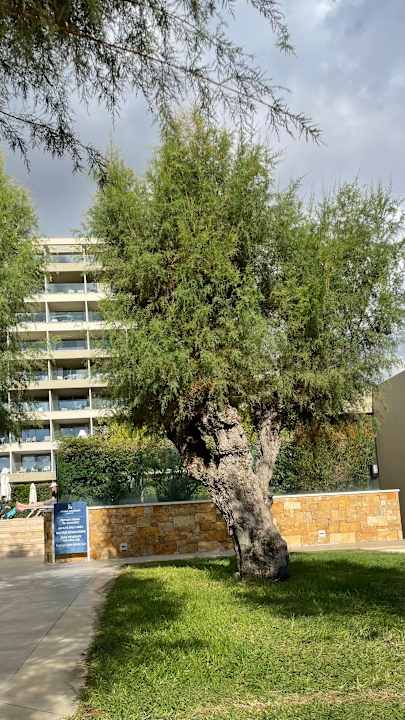 Außenansicht Amada Colossos Resort