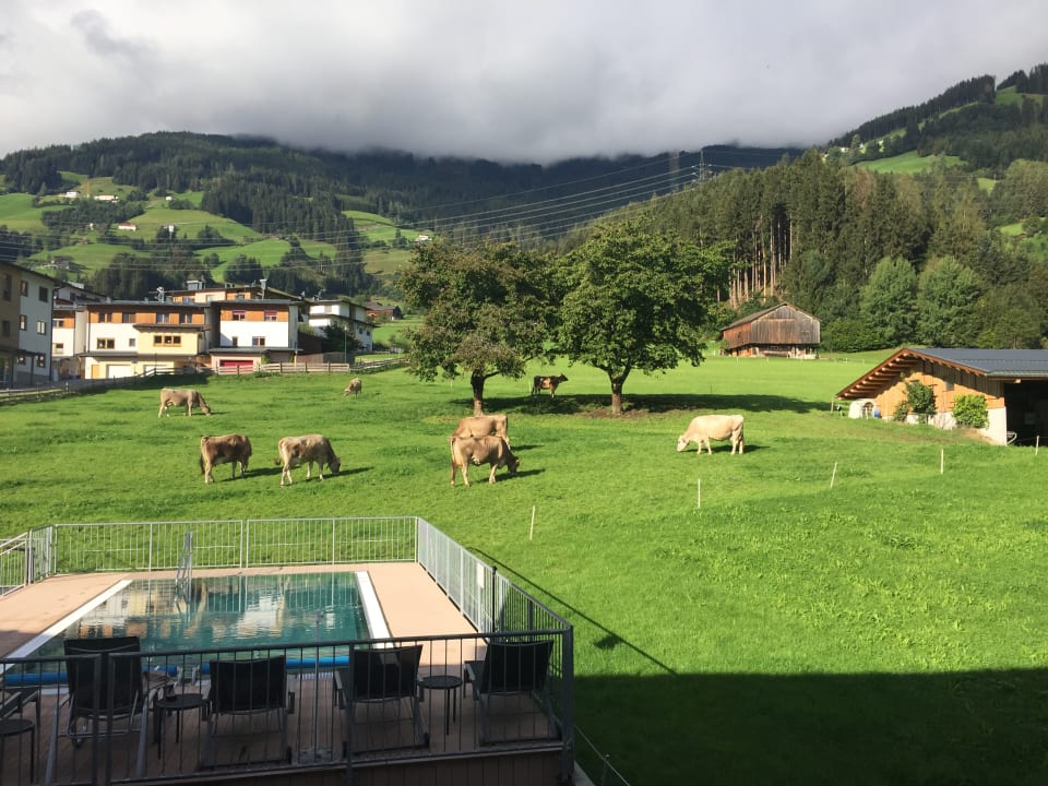 Pool Wohlfühlhotel Schiestl