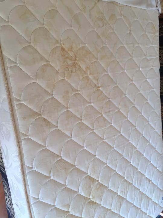 Zimmer Bliss Nada Beach Resort