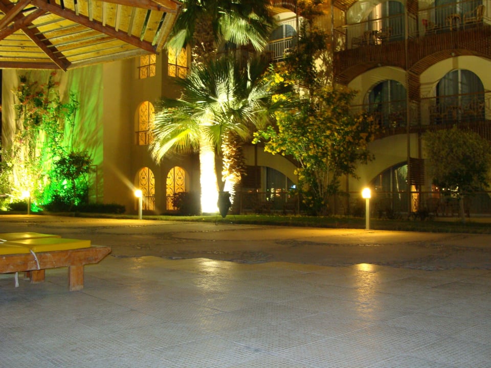 Widok wieczorem przy basenie Desert Rose