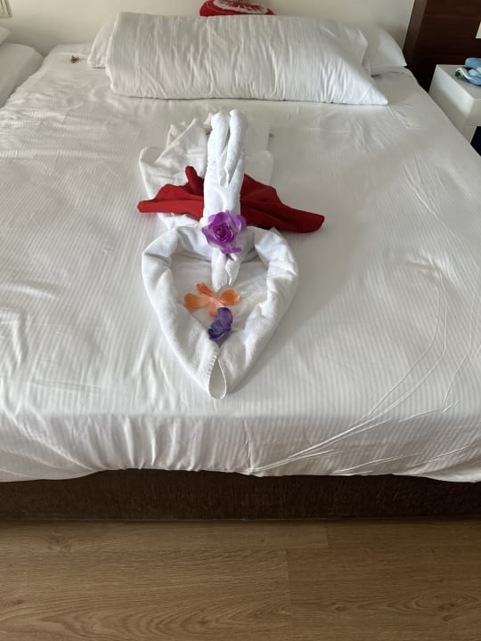 Zimmer Seaden Sea World Resort & Spa