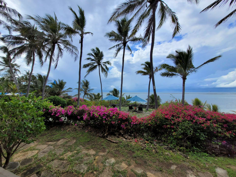 Gartenanlage Bahari Beach Hotel