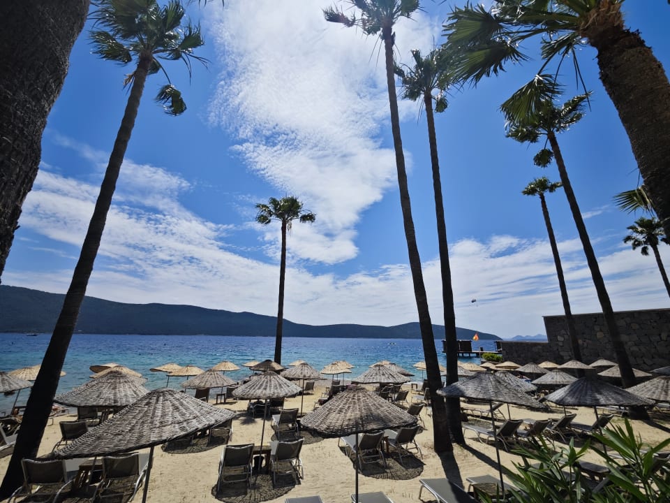 Strand TUI MAGIC LIFE Bodrum - Adult Only (16+)