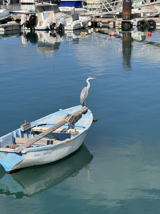 Strand Aldiana Club Fuerteventura