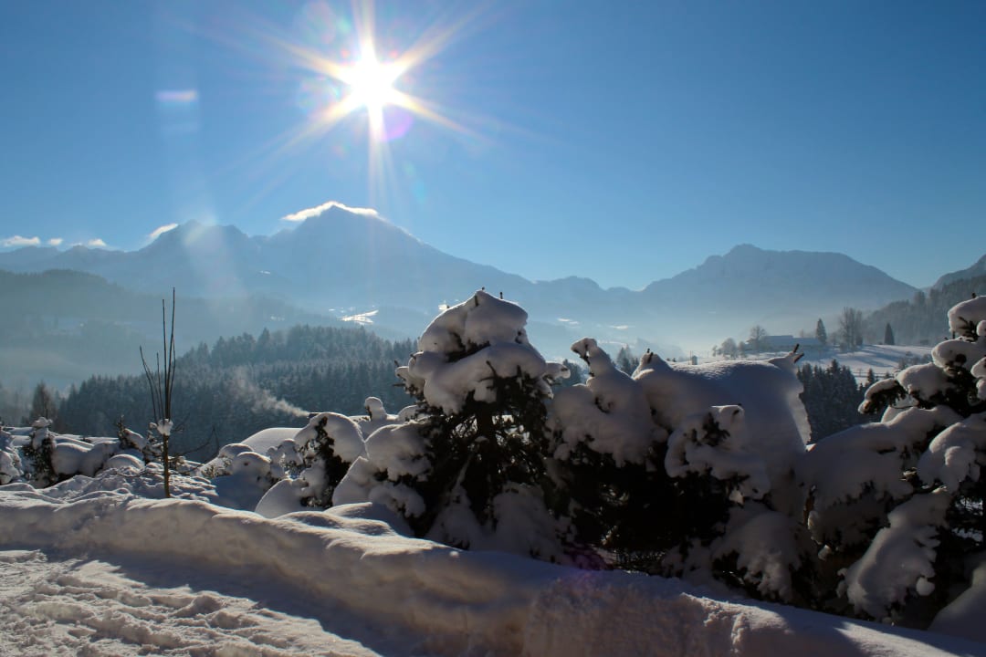 Gartenanlage Haus Löger Apartments