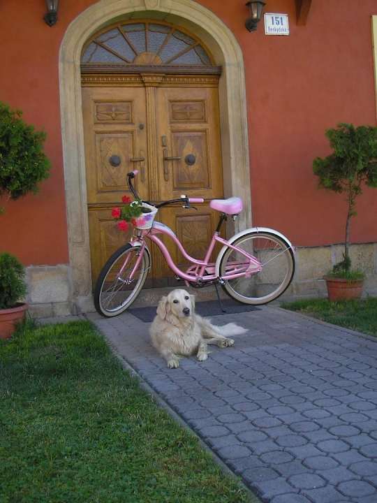 Cyklisté vítáni Penzion U Holubů Nový Jičín