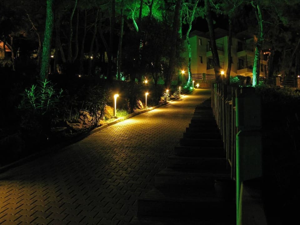 Anlage bei Nacht TUI BLUE Seno - Adults Only