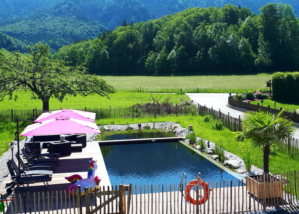 Pool Gästehaus Gutfelder Hof