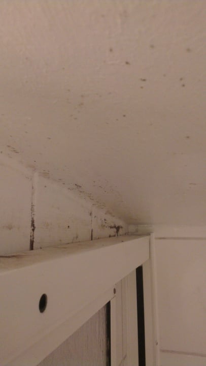 Schimmel Dusche Hotel Hasenjäger