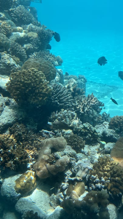 Sonstiges OZEN LIFE MAADHOO