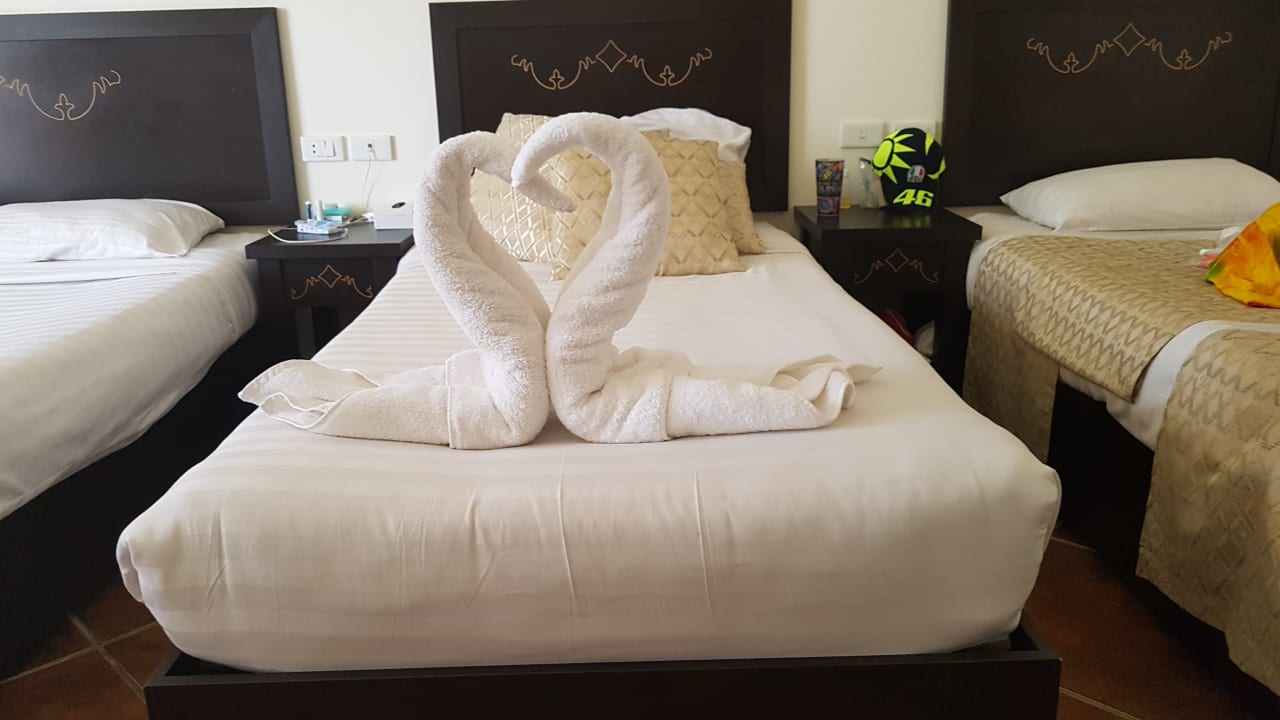 Zimmer Three Corners Sea Beach Resort