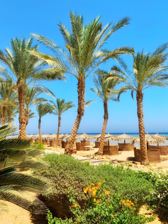 Strand The Breakers Diving & Surfing Lodge