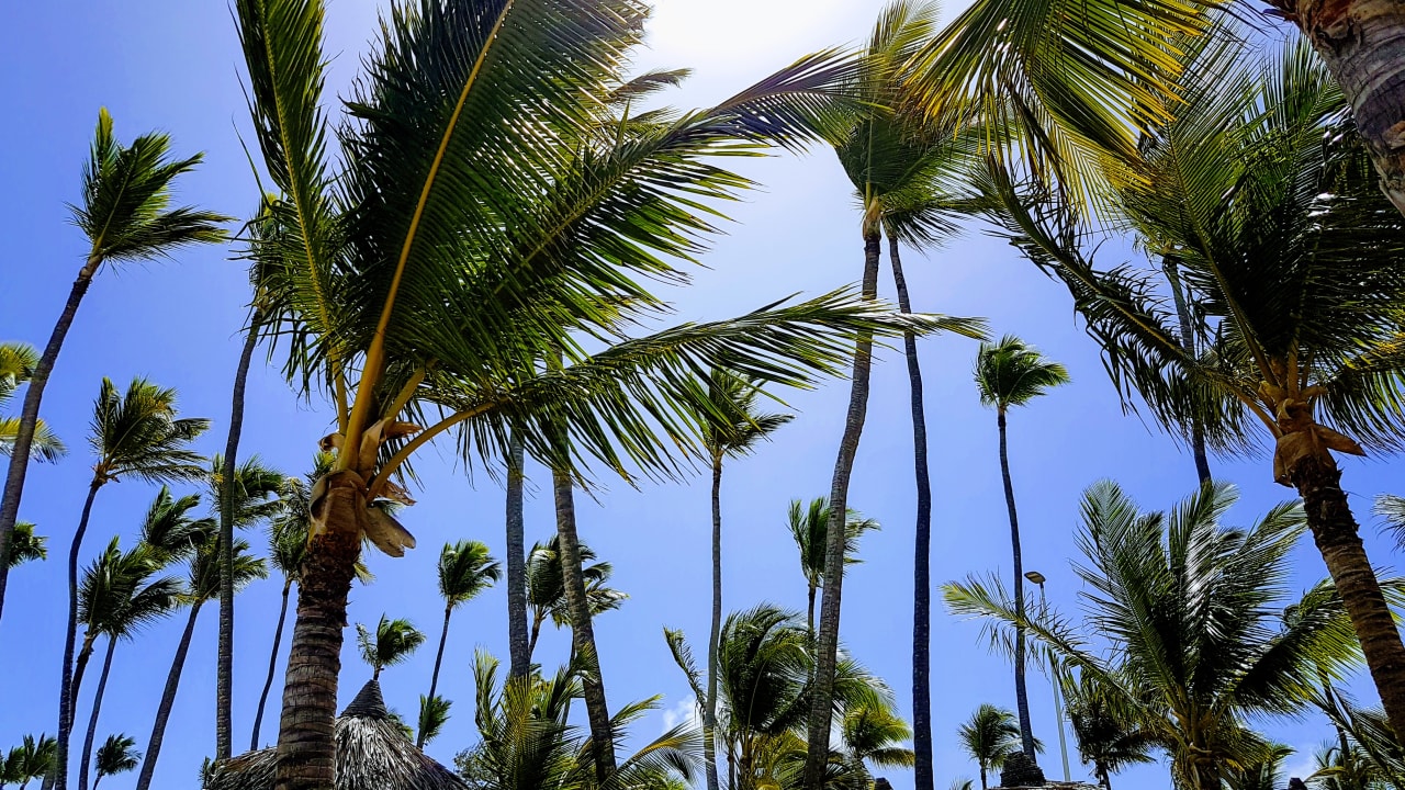Ausblick Grand Palladium Punta Cana Resort & Spa