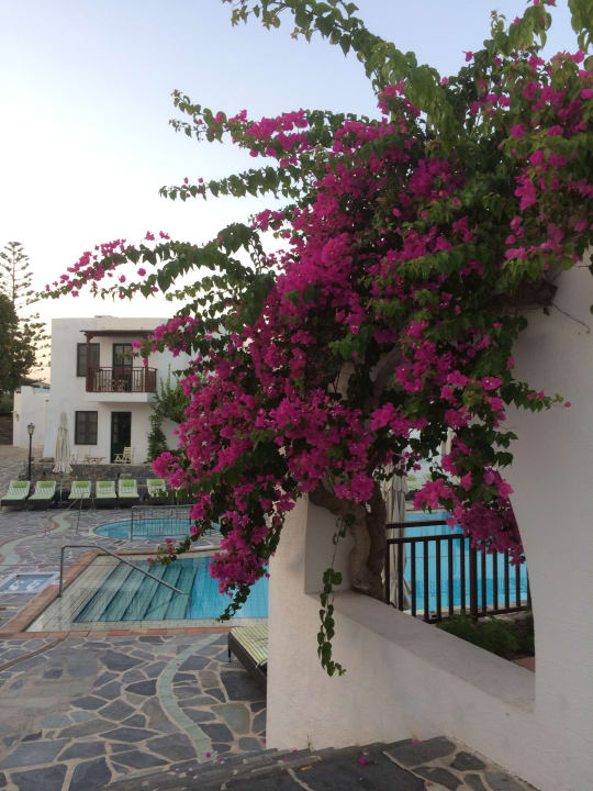 Außenansicht Creta Maris Resort