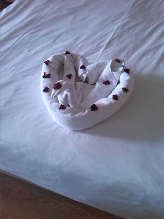 Handtuchschwan Litore Resort & Spa