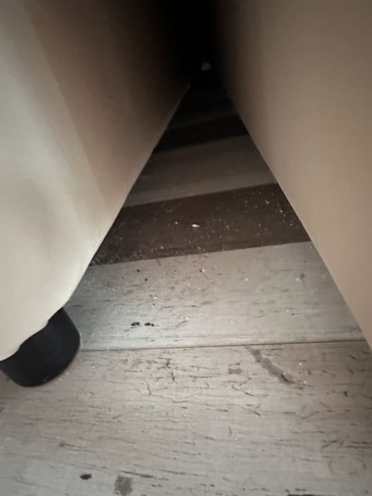 Zimmer Sentido Marea