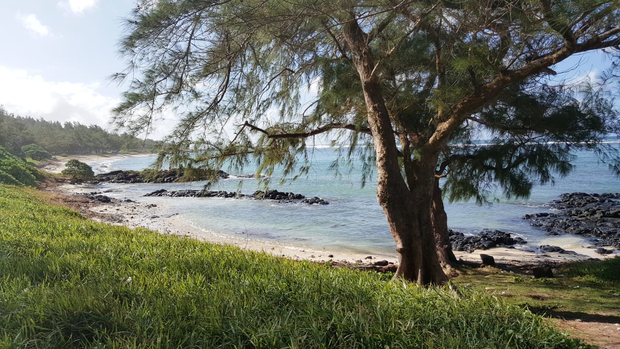 Strand Friday Attitude