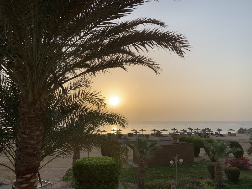 Ausblick Shams Alam Beach Resort