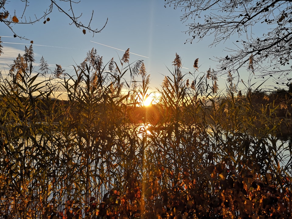 Ausblick Gasthof Camping Maltschacher Seewirt
