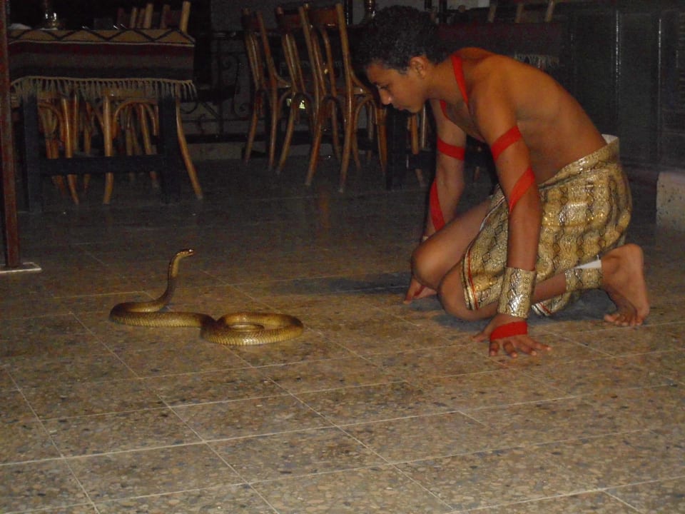 Show im Tamtam Ghazala Beach