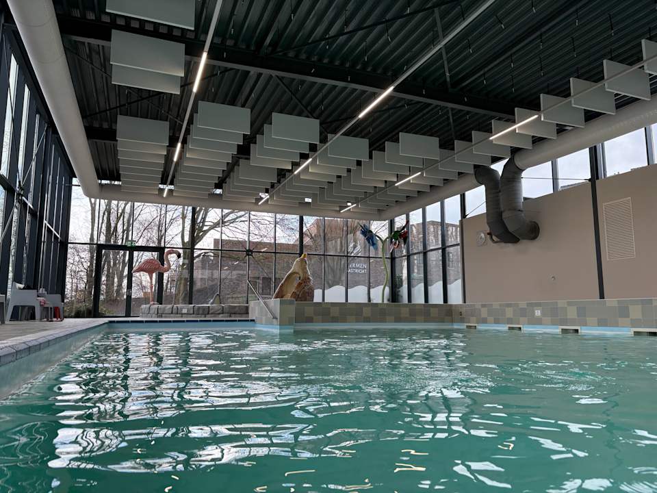 Pool Dormio Resort Maastricht