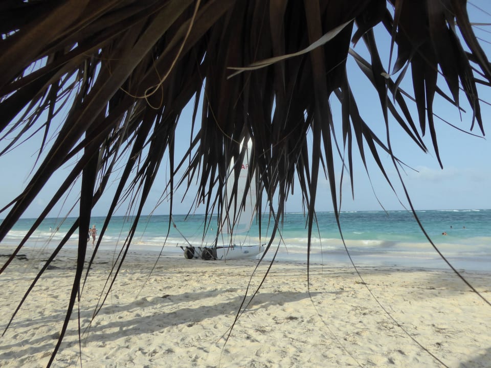 Ausblick von der Liege Punta Cana Princess All Suites Resort & Spa