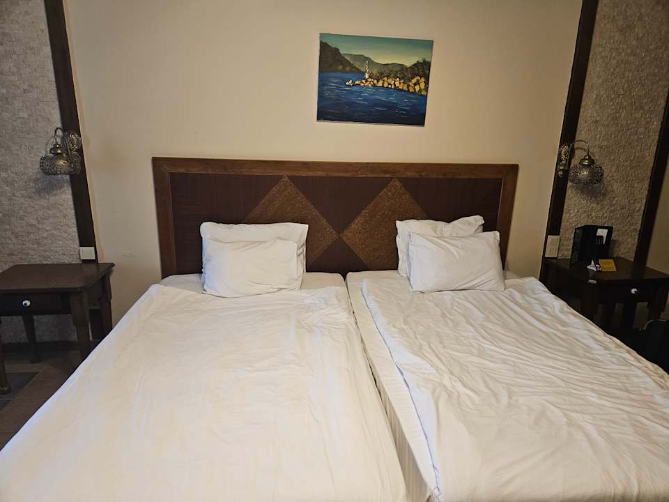 Zimmer Kamelya Aishen Club