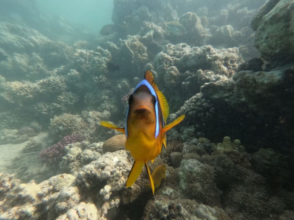 Sport & Freizeit Cleopatra Luxury Resort Makadi Bay