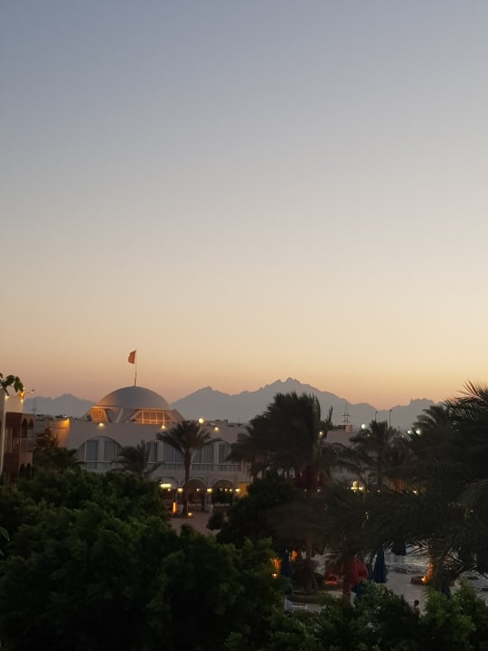 Ausblick Desert Rose