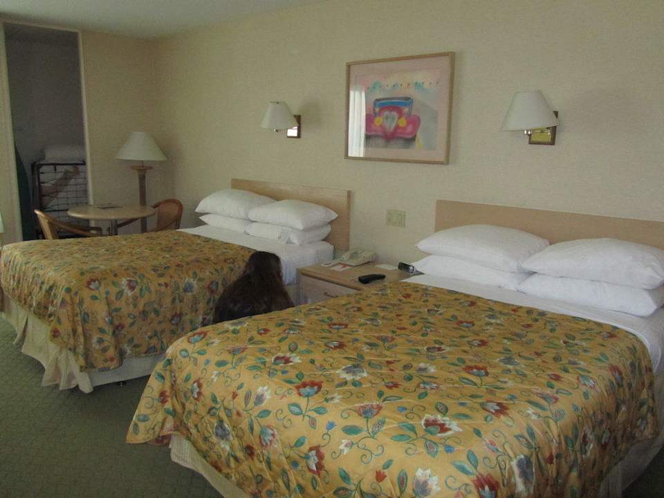 Zwei riesige Betten Howard Johnson Inn & Suites Orange