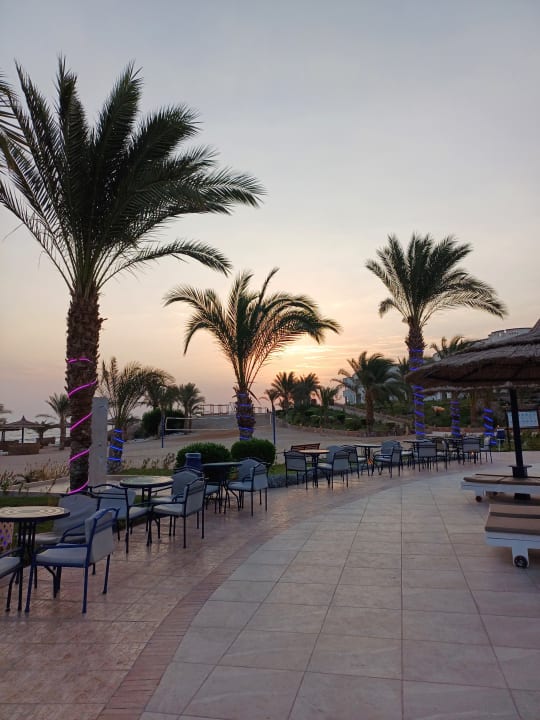 Gastro Coral Sun Beach