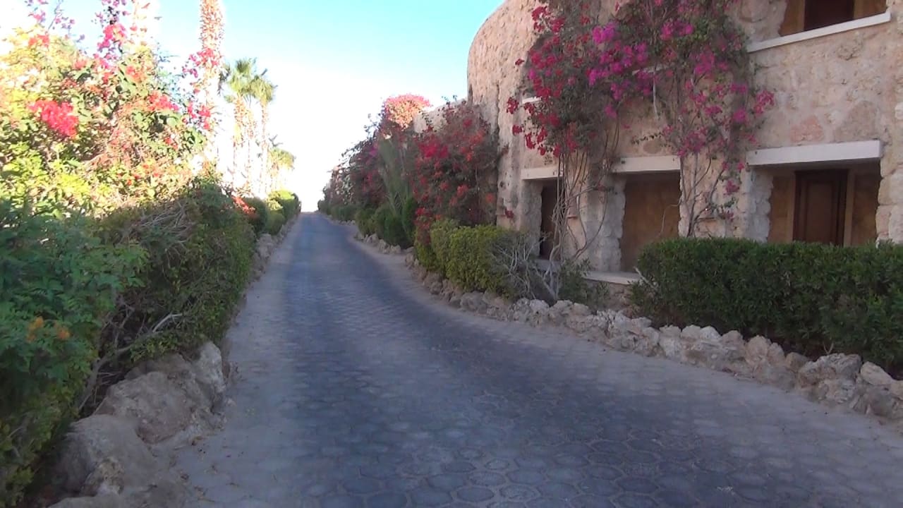 Building 8 Pickalbatros Citadel Resort